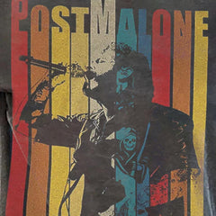 Vintage Post Malone Hoodie, Post Malone Hoodie, Post Malone Merch, Twelve Carat Tour Merch (Classic Version) - Shirt King