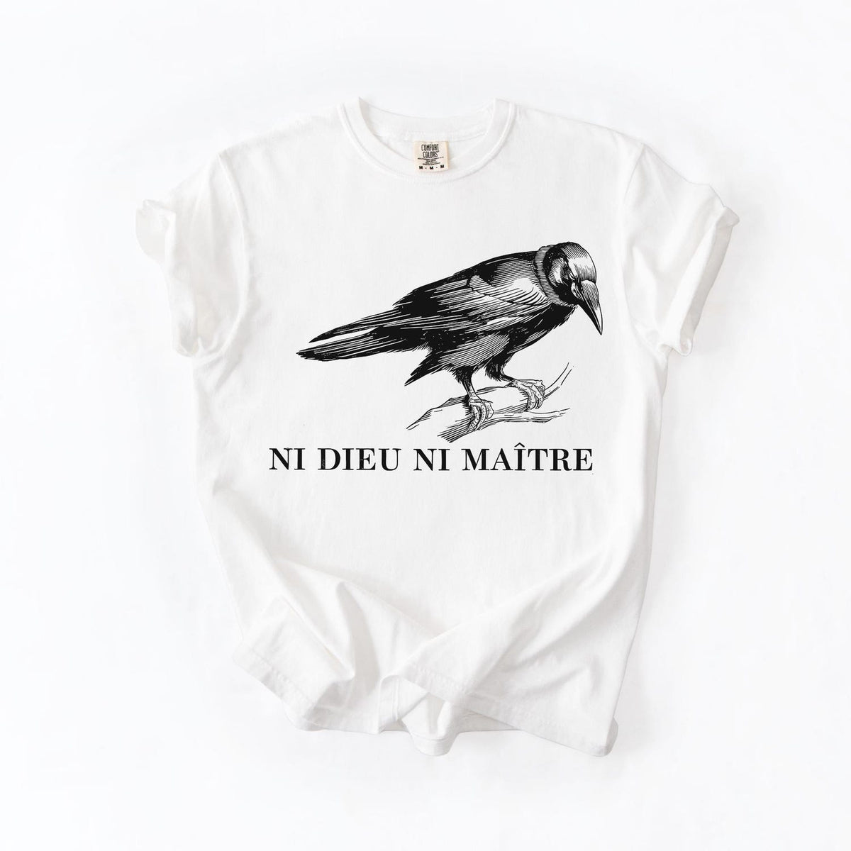 Anti-Authoritarian Shirt, No God No Master, Anti Trump Shirt, Leftist Protest Shirt, Anarchist T-shirt, Anti Trump Shirt