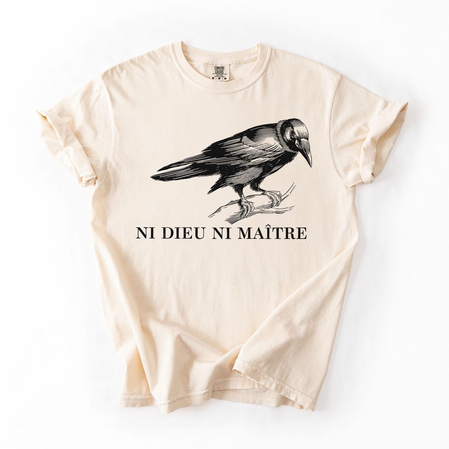 Anti-Authoritarian Shirt, No God No Master, Anti Trump Shirt, Leftist Protest Shirt, Anarchist T-shirt, Anti Trump Shirt